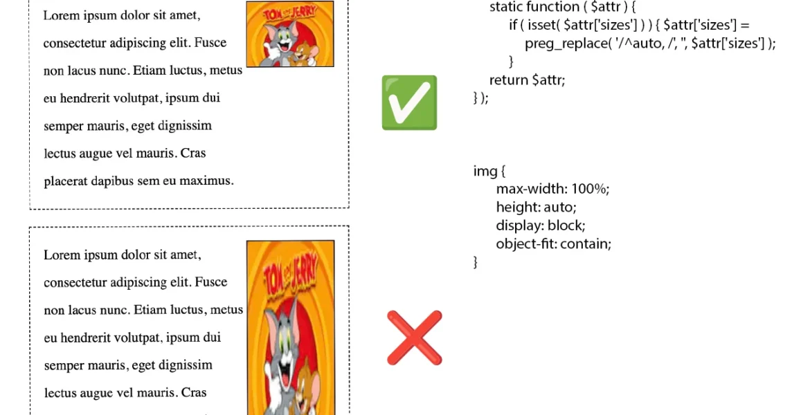 باگ تصاویر کشیده شده در وردپرس روی مرورگر کروم: علت و راه حل باگ تصاویر کشیده شده در وردپرس روی مرورگر کروم: علت و راه حل